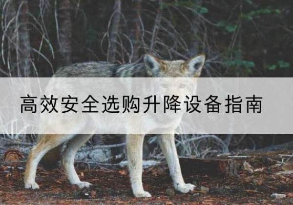 茌平升降货梯厂家推荐-*安全选购升降设备指南