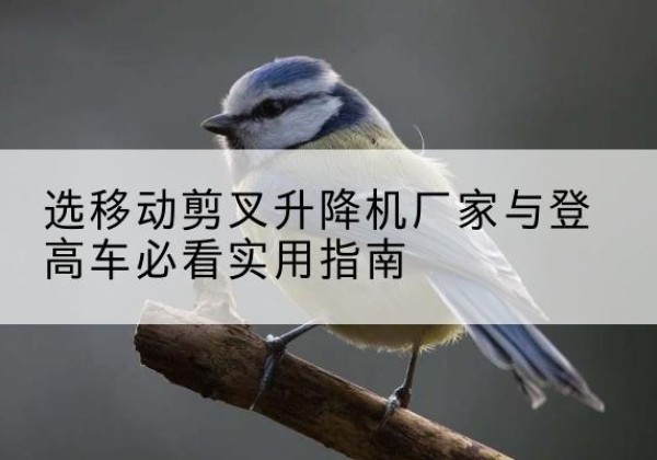 茌平电动升降机厂家-选移动剪叉升降机厂家与登高车必看实用指南