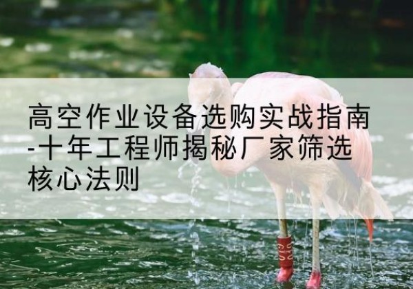 茌平剪叉式升降机厂家-高空作业设备选购实战指南-十年工程师揭秘厂家筛选核心法则